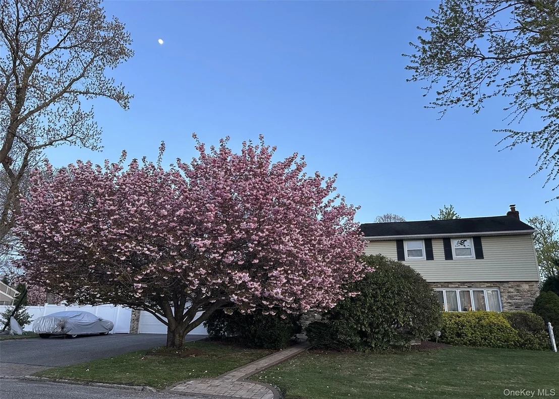 Photo of 185 Tree Road