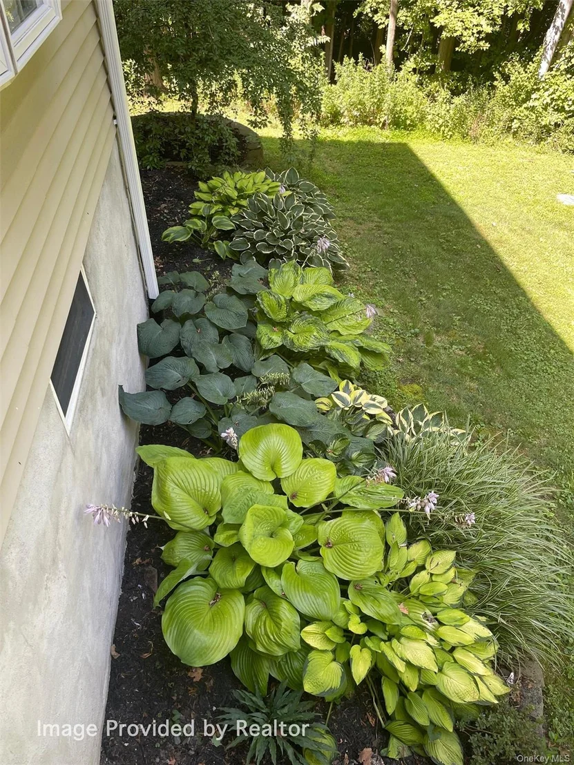 Photo of 12 Berghoff Drive
