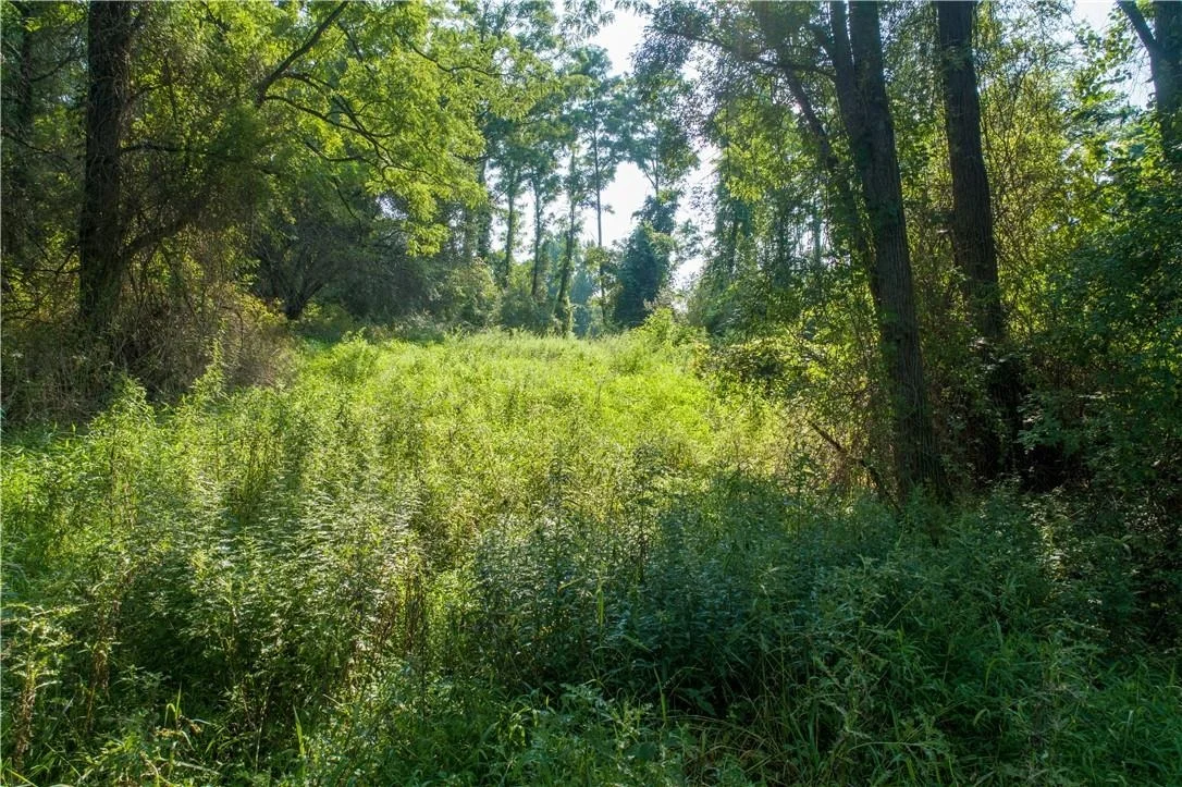 Photo of 8 Ravine Road