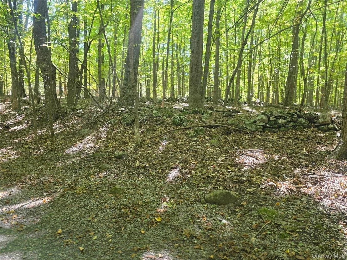 Photo of 199 Paddock Road