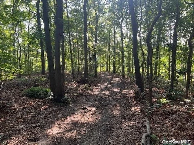 Photo of Avenue C