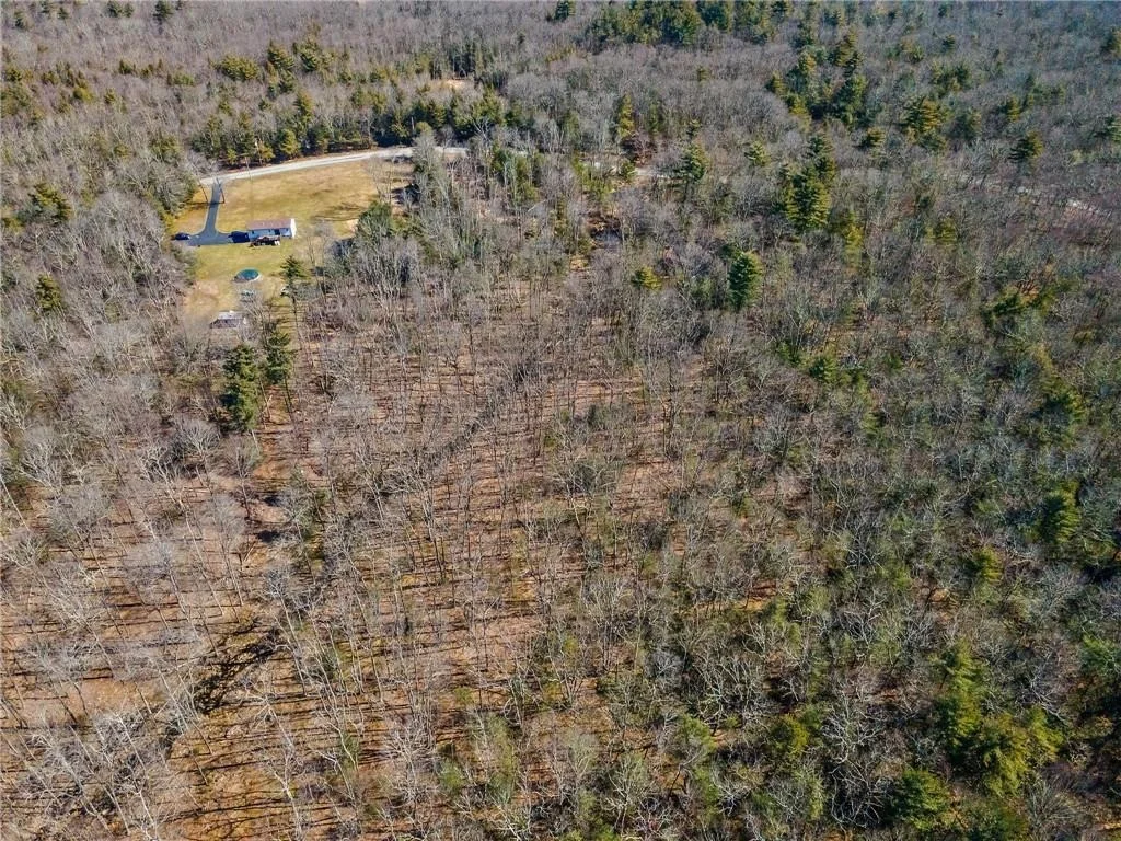 Photo of Pine Kill Road