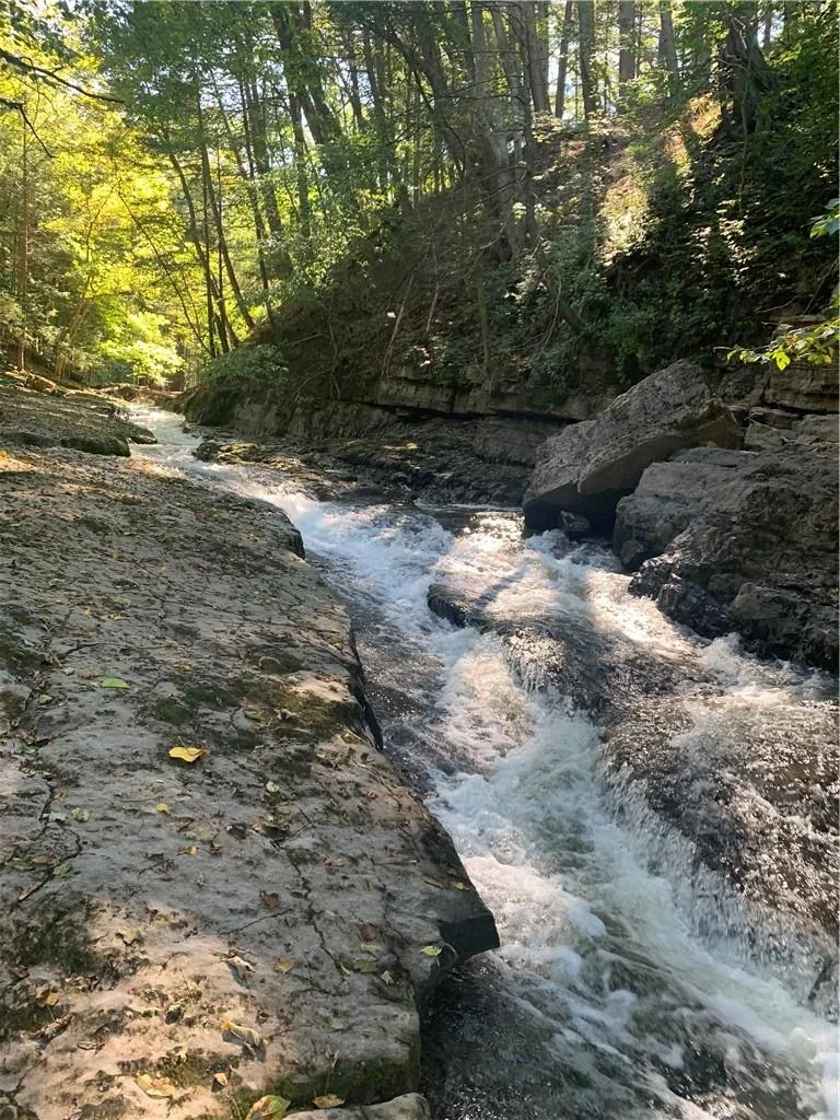 Photo of 74 Mossy Brook Road