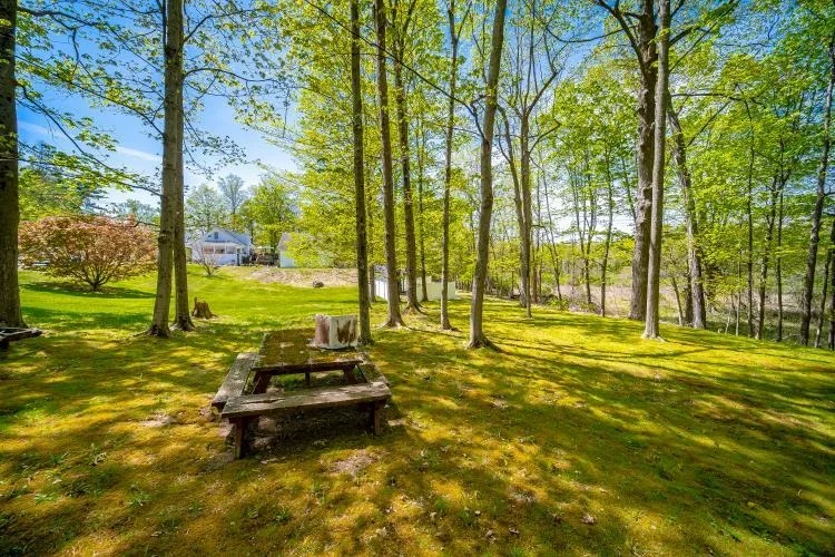 Photo of 559 Noxon Road