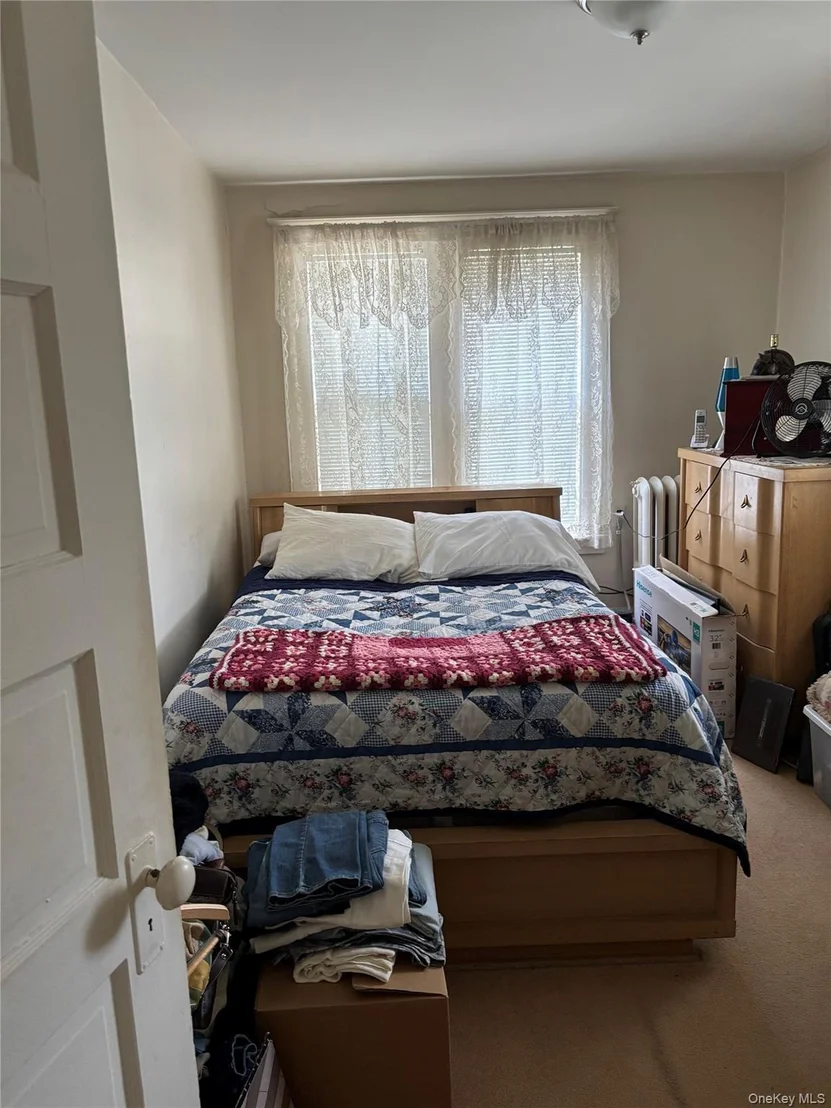 Photo of 31 Algernon Street