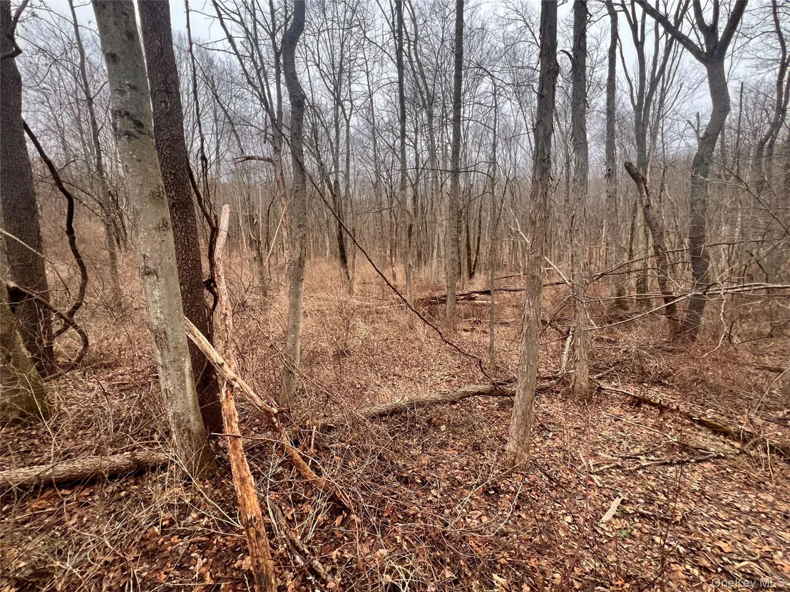 Photo of 2413 Route 44