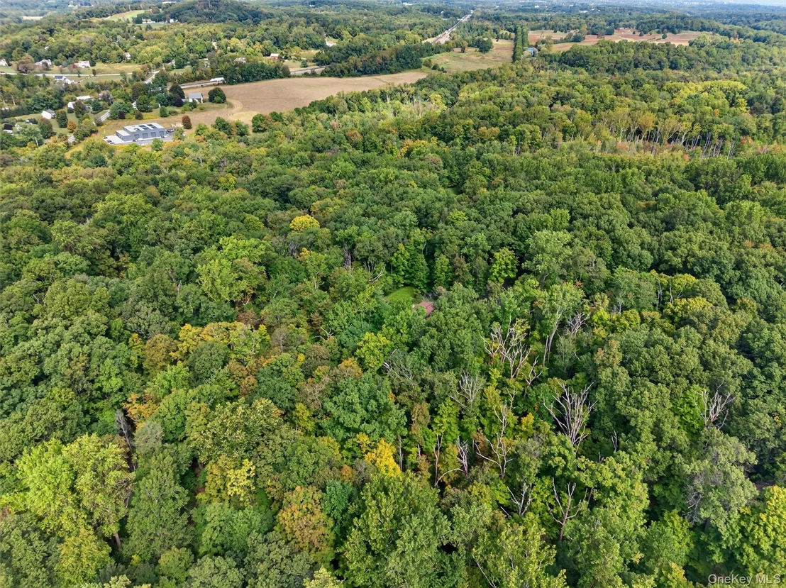 Photo of 20 Sugar Maples