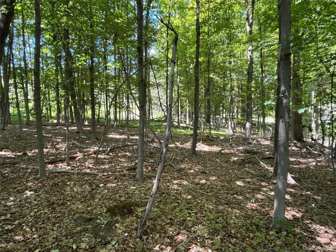 Photo of 0 Smith Road