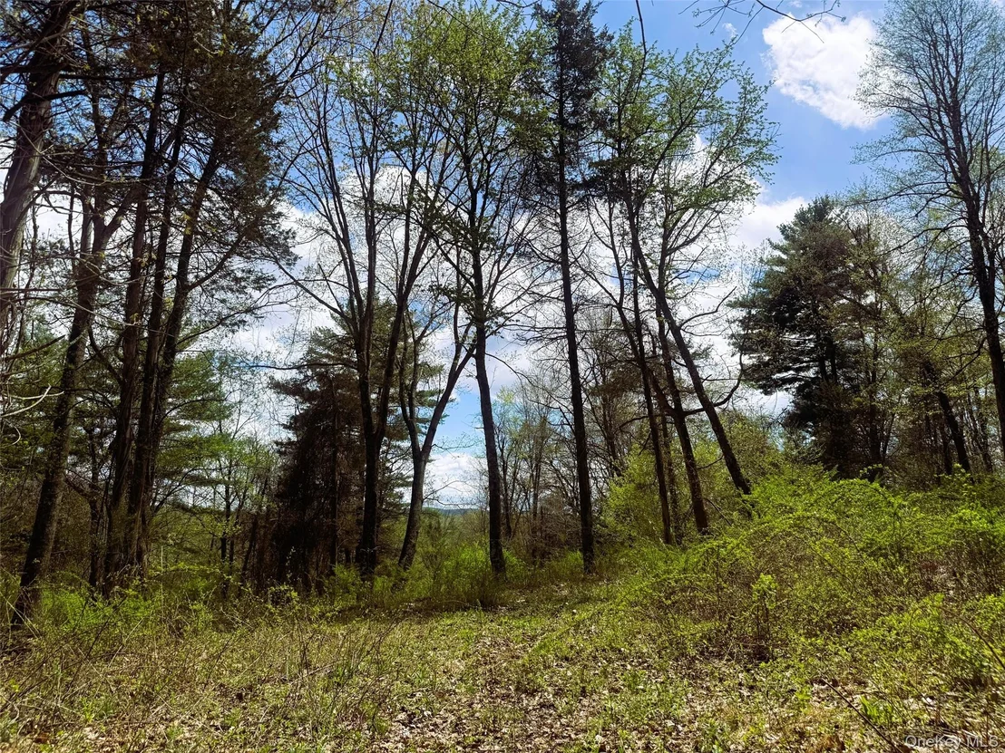 Photo of 147 Putt Lane
