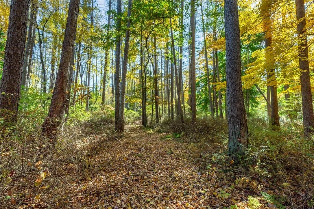 Photo of Lot #2 Dodge Road