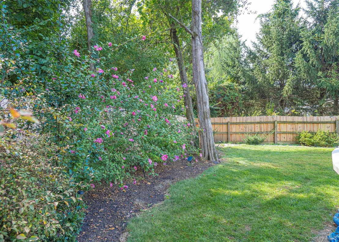 Photo of 41 Wilhelm Drive