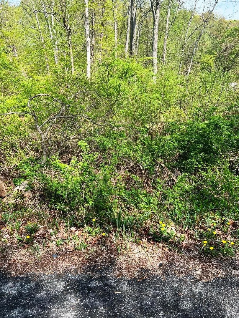 Photo of Lot 73 Brookside Road