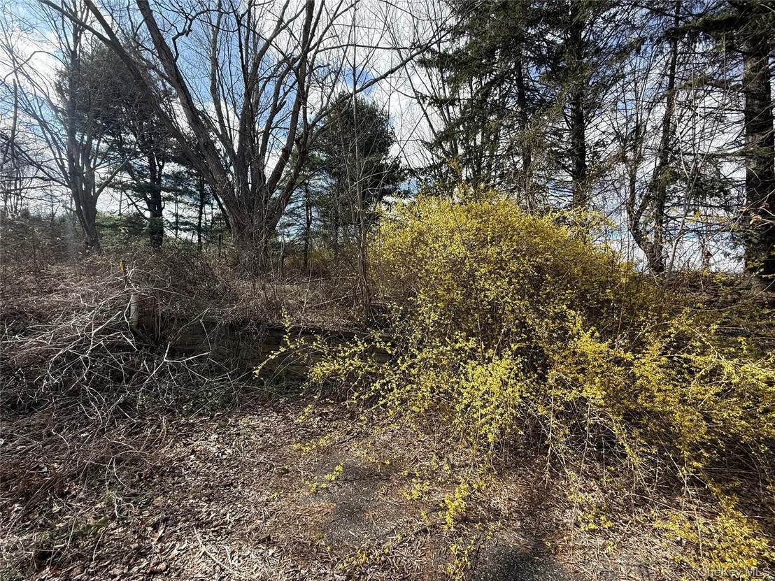 Photo of 5019 Route 22