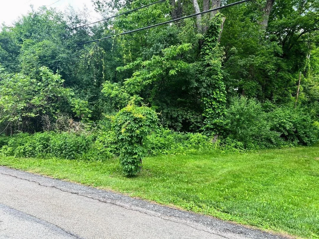 Photo of 12 Hinchcliffe Drive