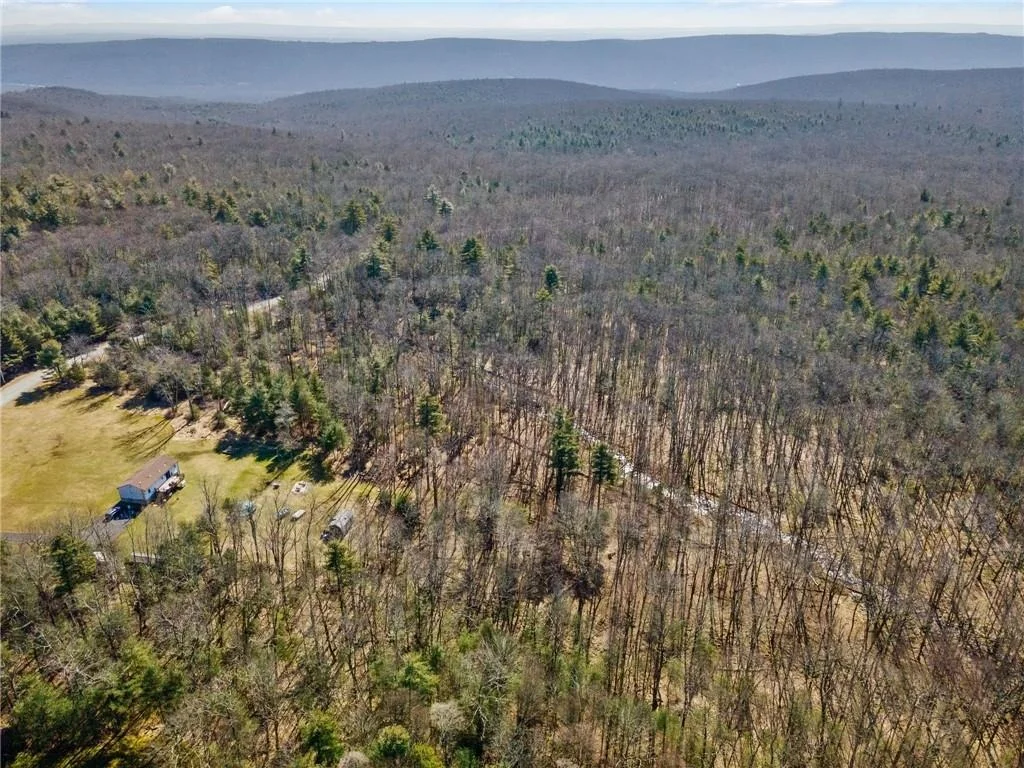 Photo of Pine Kill Road