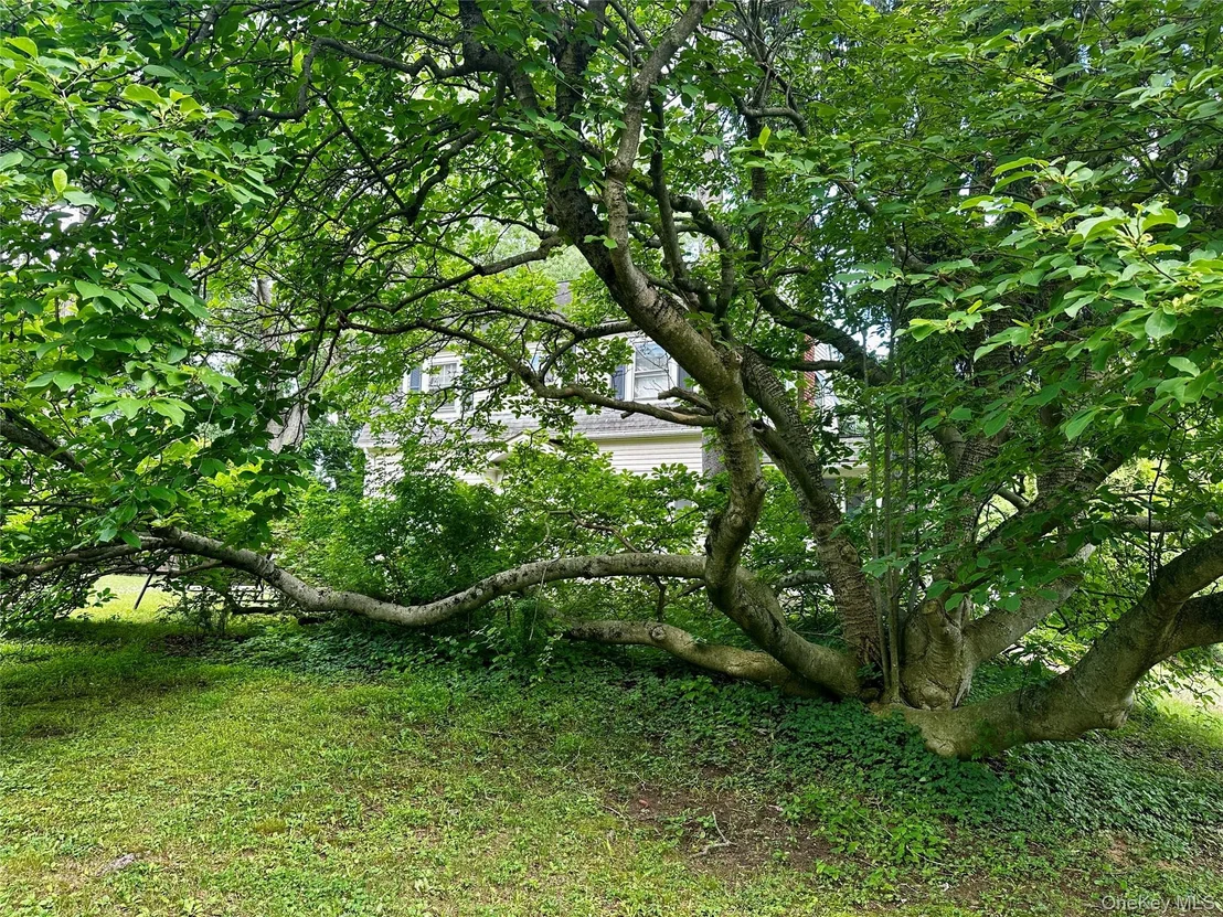 Photo of 237 Windsor Highway