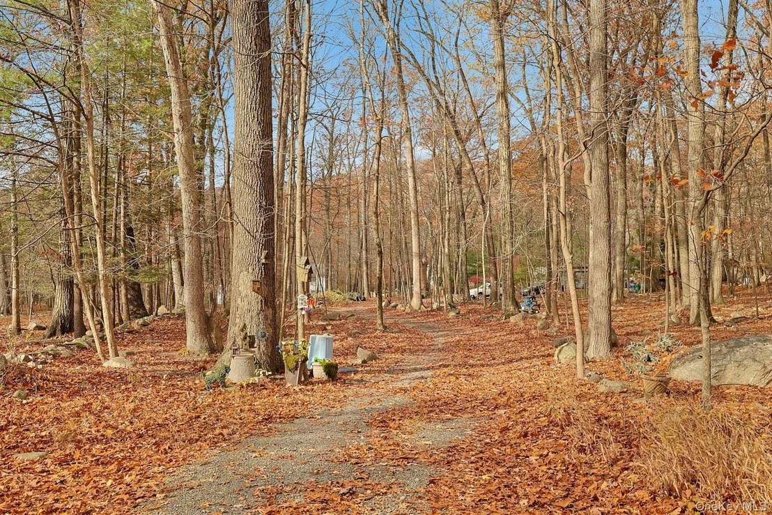Photo of 3 Grey Beech Lane