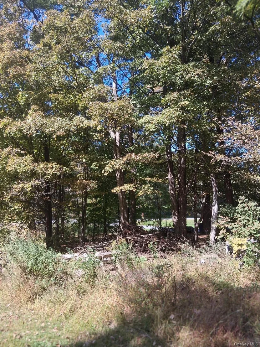 Photo of 84 North Road