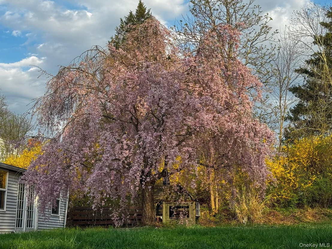 Photo of 79 Hornbeck Road
