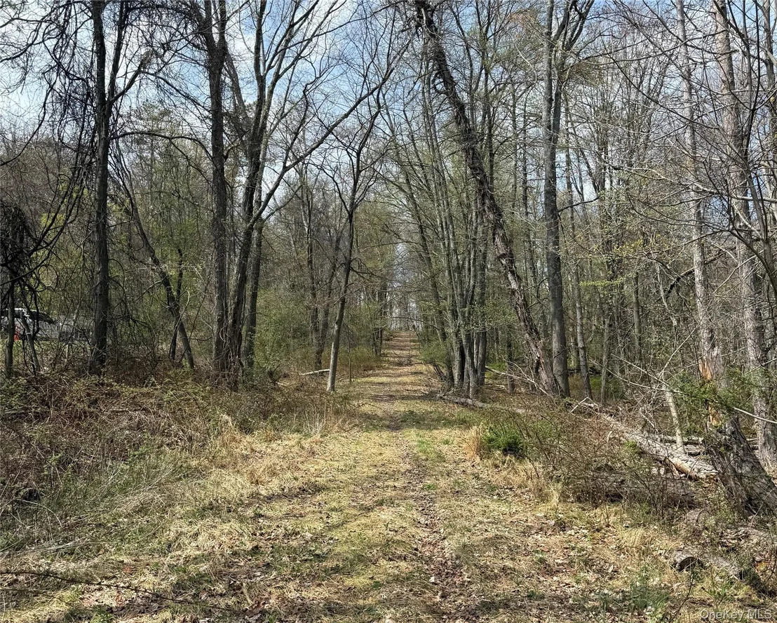 Photo of 383 Connors Road