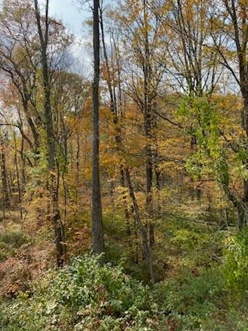 Photo of 12 W Wind Road