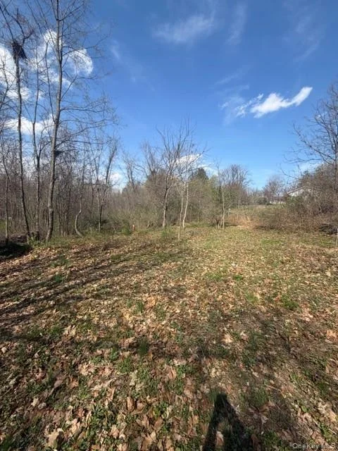 Photo of 509 Route 9G