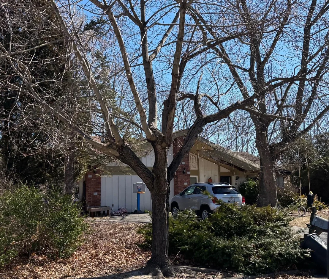 Photo of 52 Andover Drive