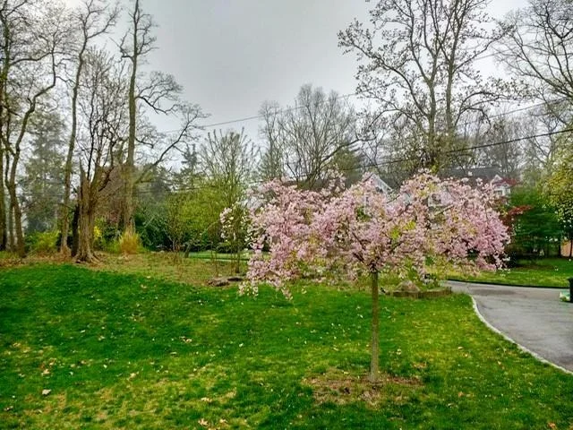 Photo of 86 Highland Down