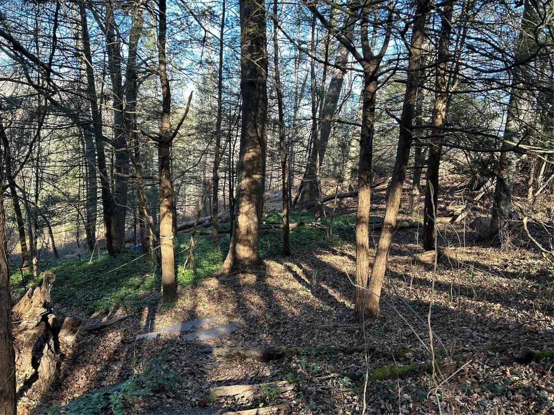 Photo of 26 MossyBrook Road