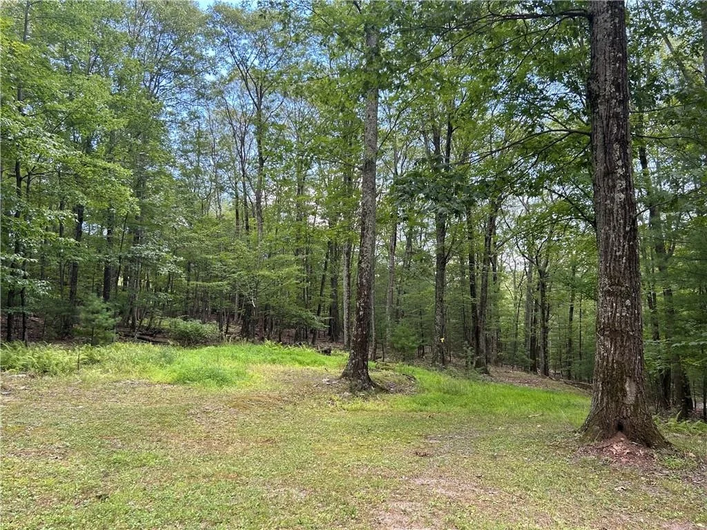Photo of 42 Mcguffey Road