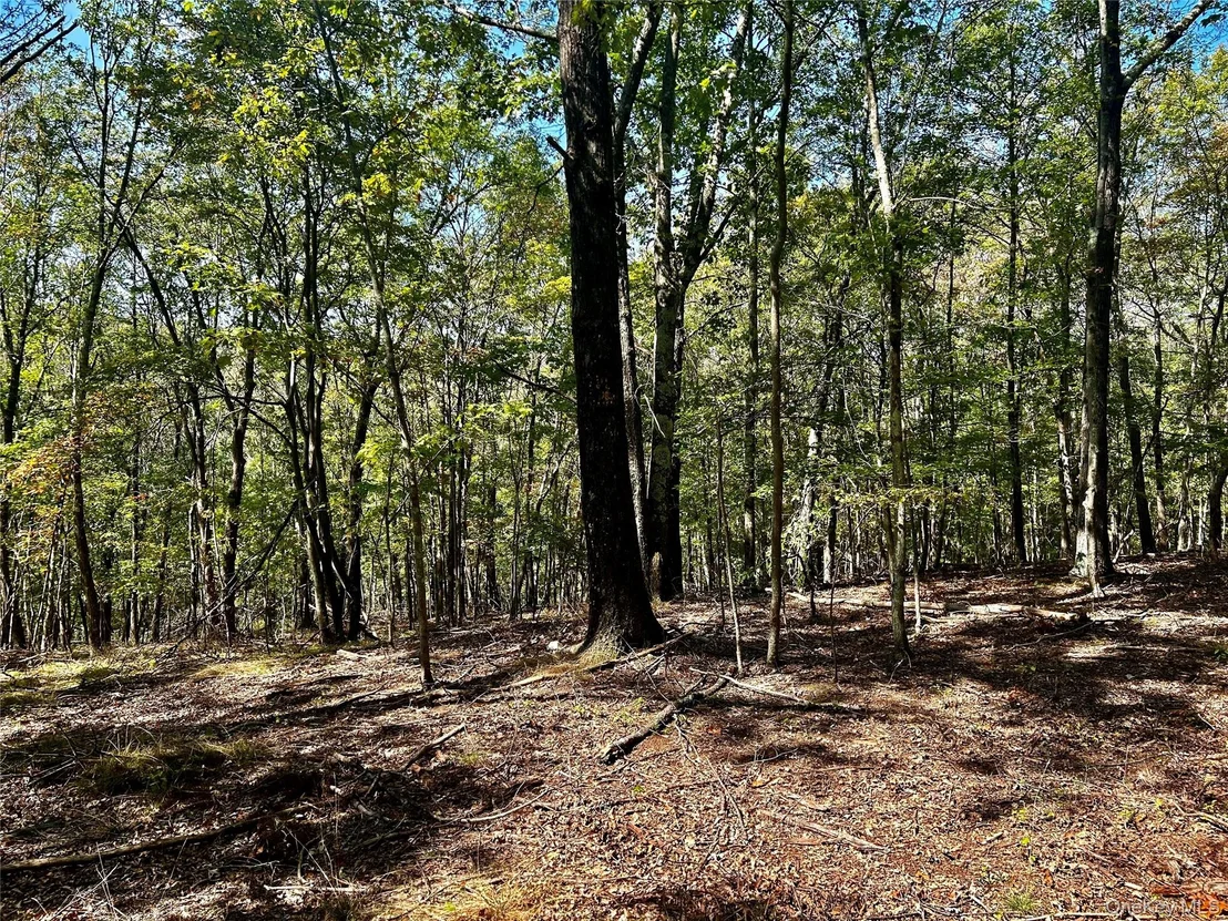 Photo of Westfall