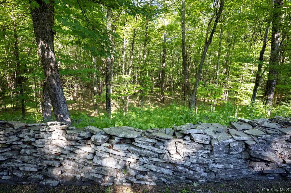 Photo of 19 Blues Quarry