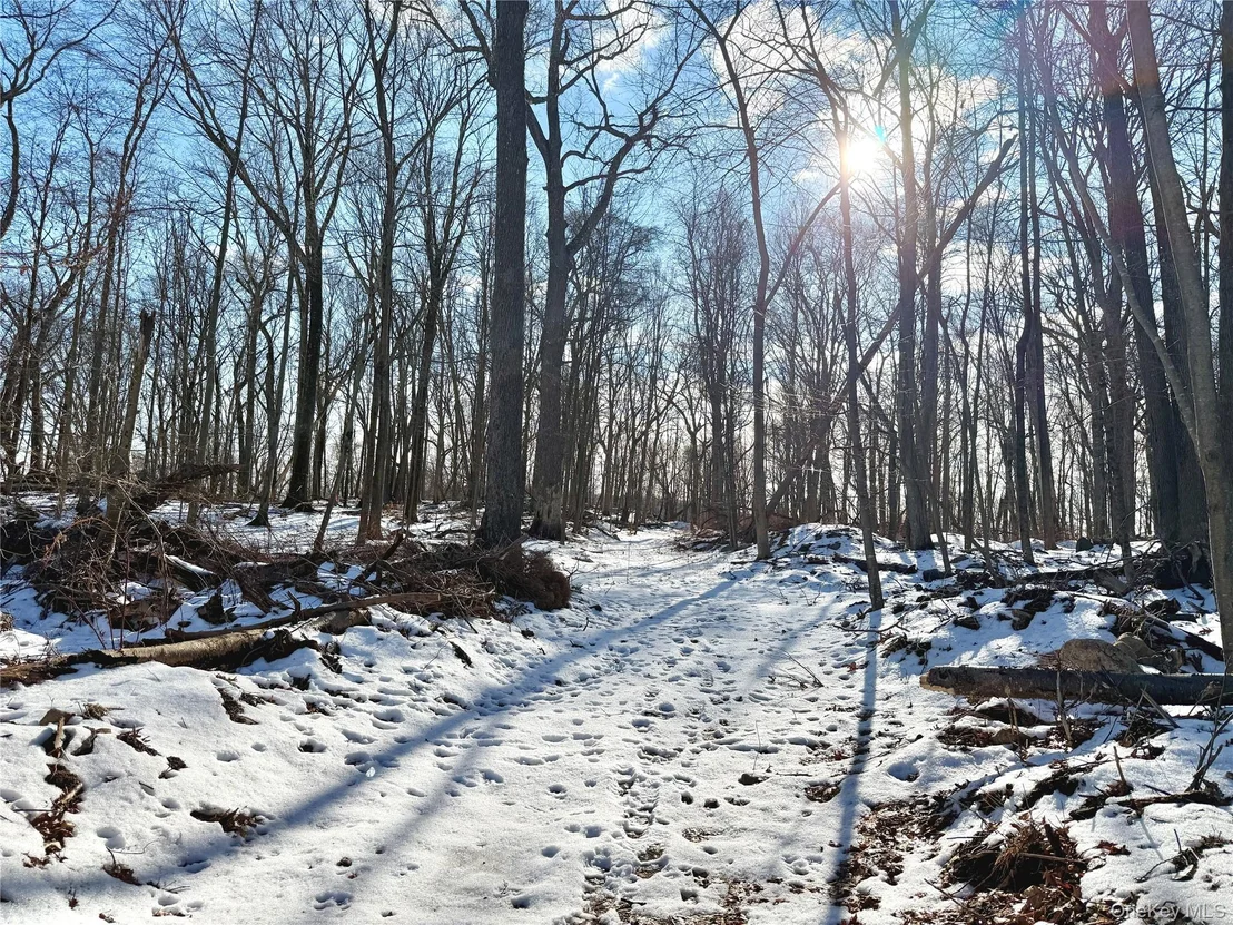 Photo of 8 Maple Ridge Trail