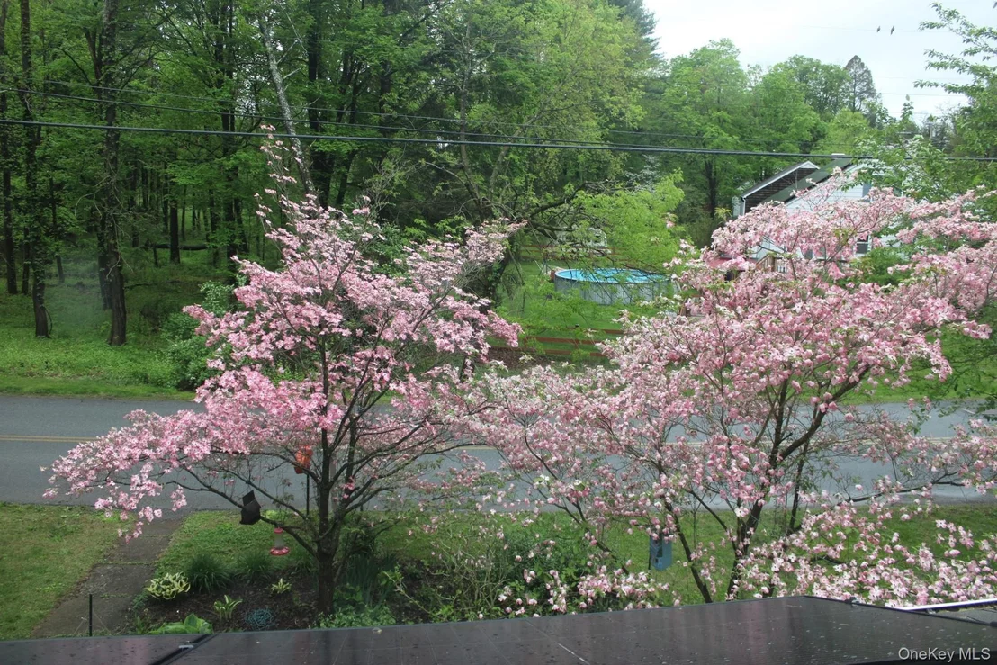 Photo of 21 Overlook Road