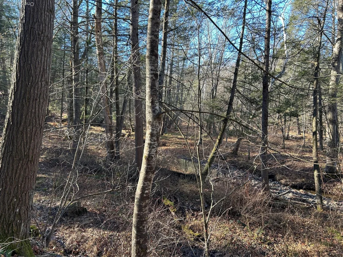 Photo of 26 MossyBrook Road