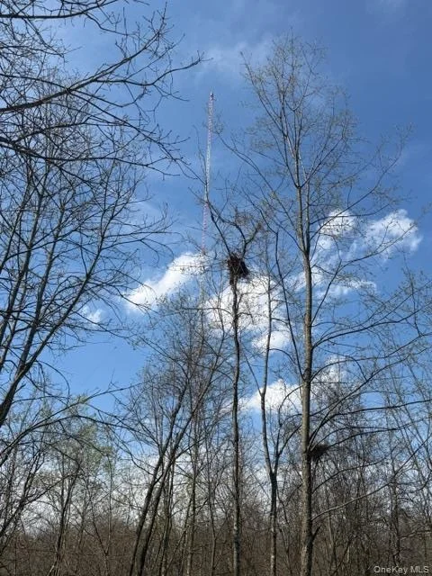 Photo of 509 Route 9G