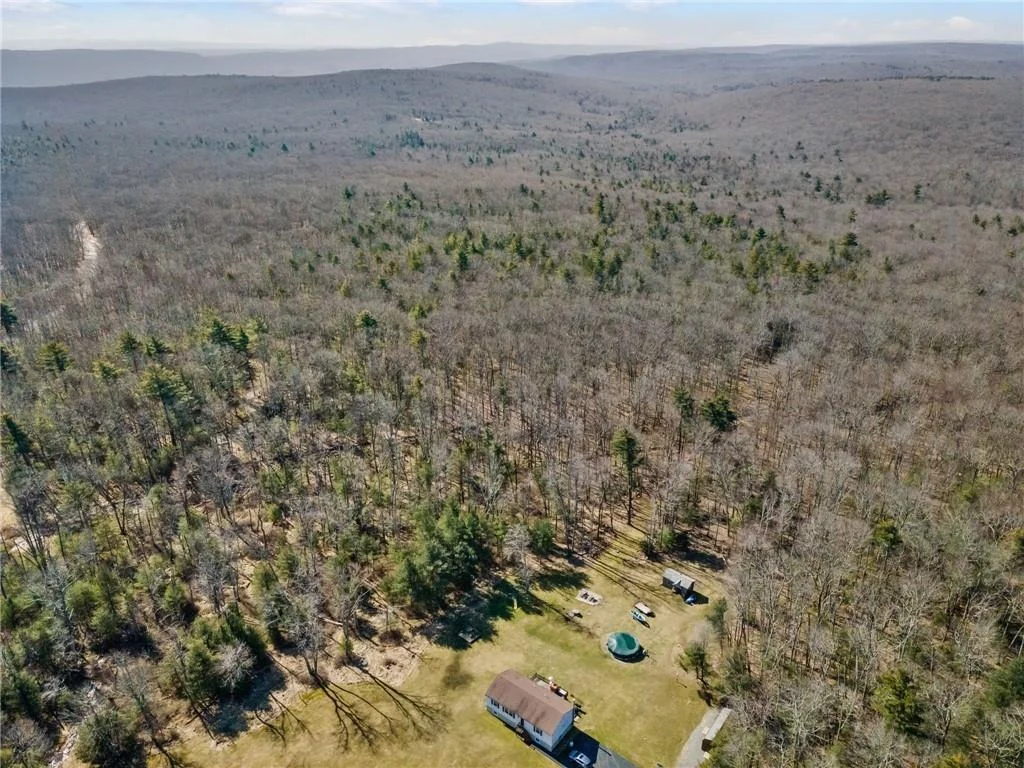 Photo of Pine Kill Road