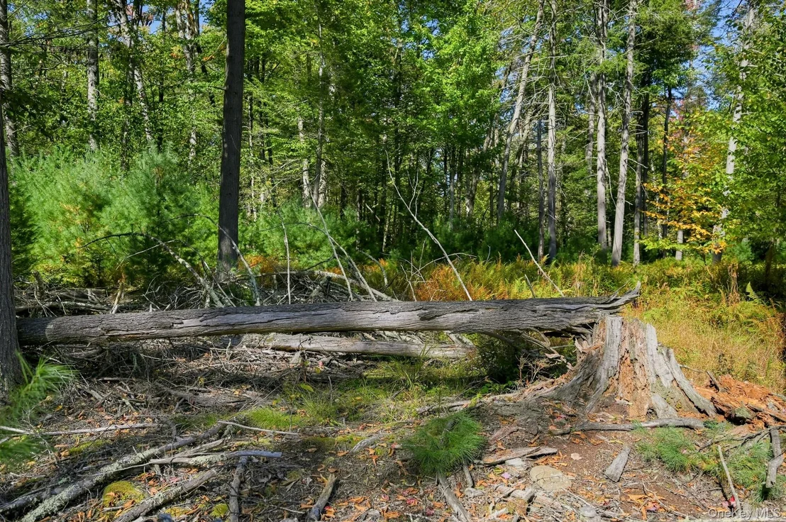Photo of 118 Weiser Road