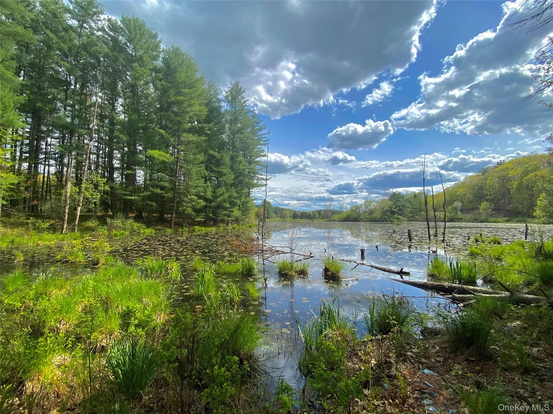 Photo of 177 Webber Road