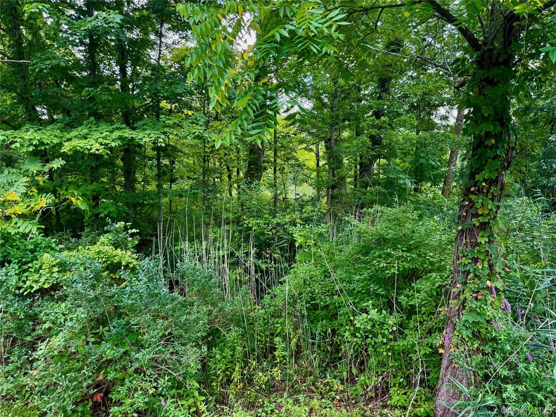 Photo of 26 Fishkill Hook Road