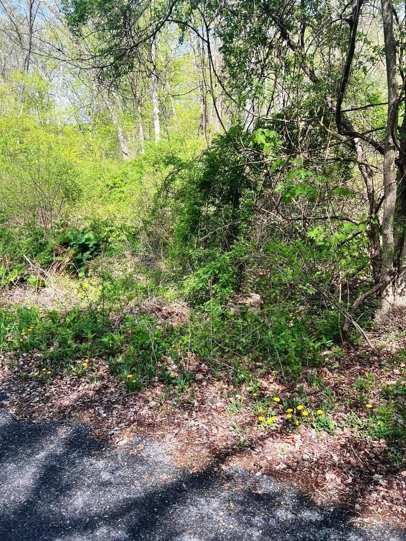 Photo of Lot 73 Brookside Road