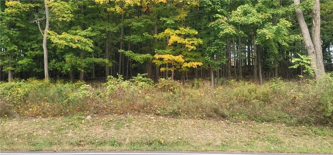Photo of Lot 1 Bethlehem Road