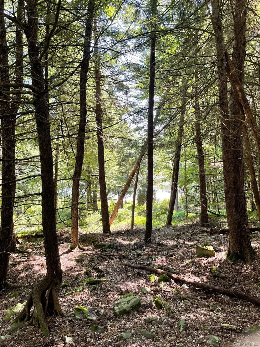 Photo of Lot 92 Mathias Weiden Drive