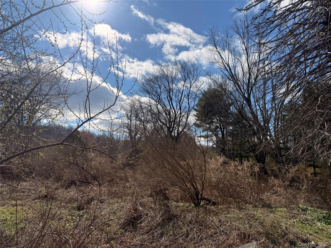 Photo of 5019 Route 22