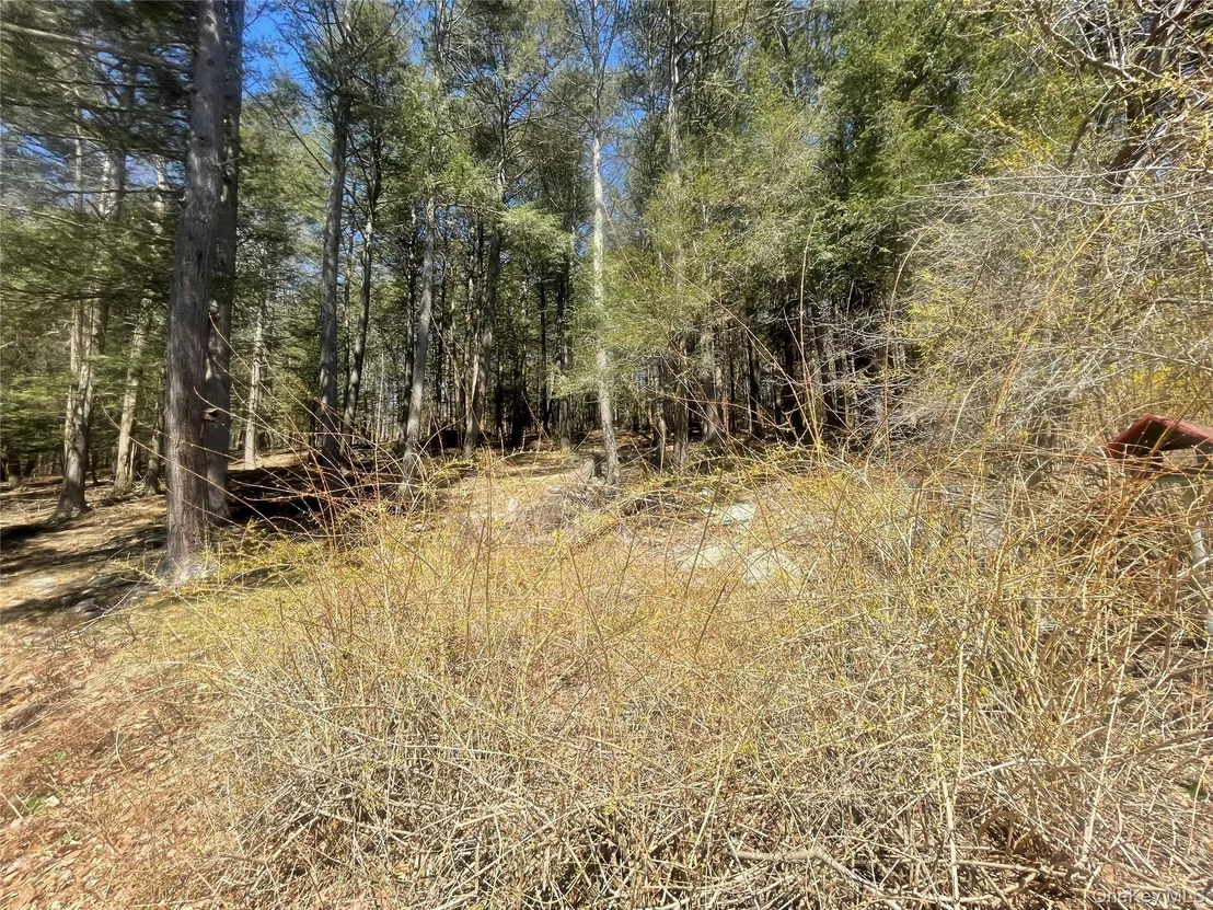 Photo of 58 Baker Road