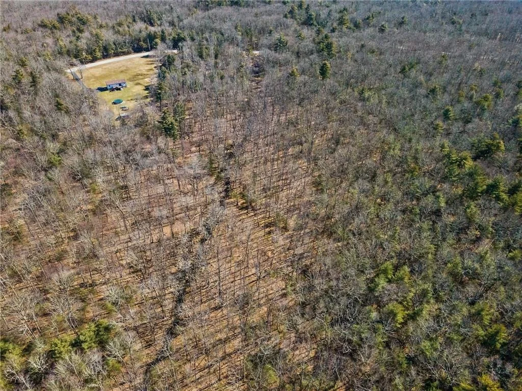 Photo of Pine Kill Road