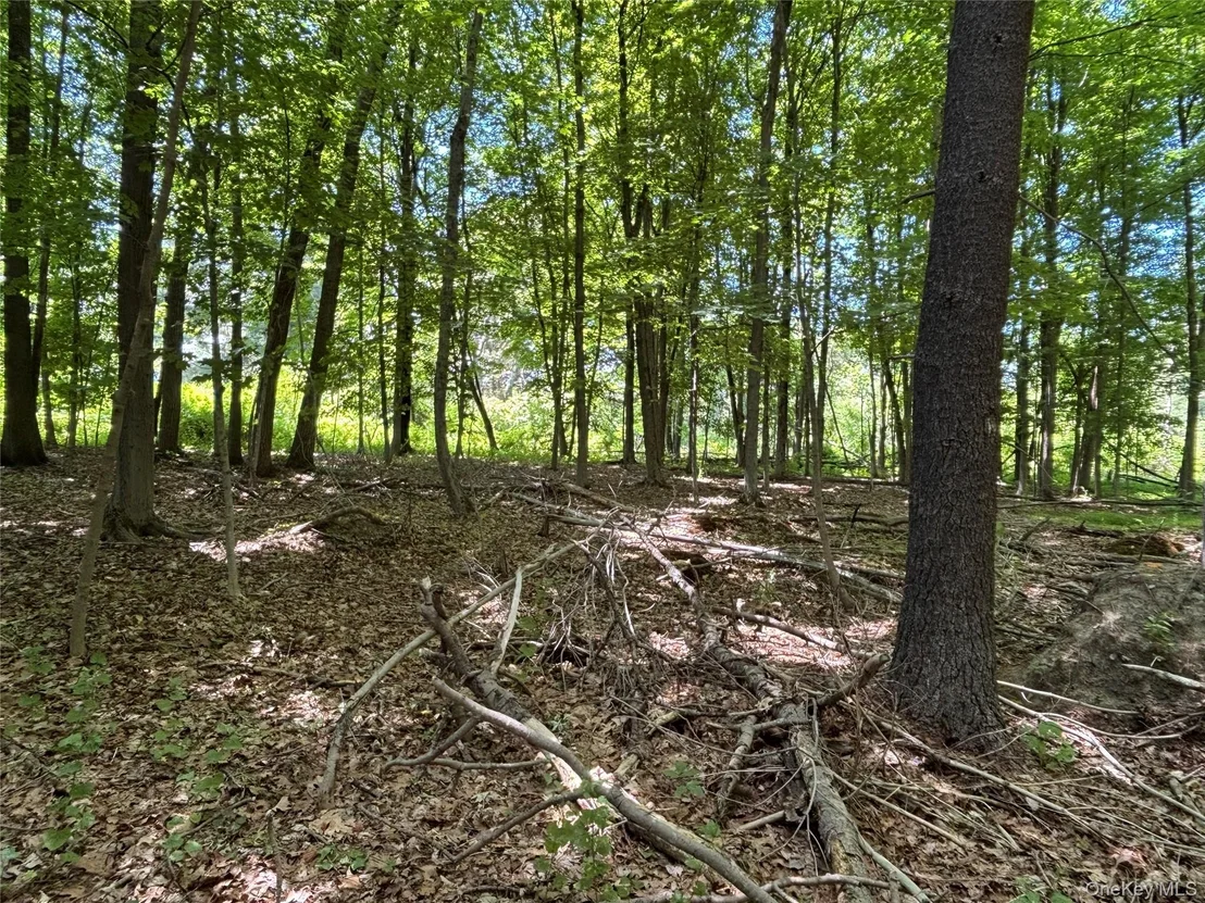 Photo of 0 Smith Road