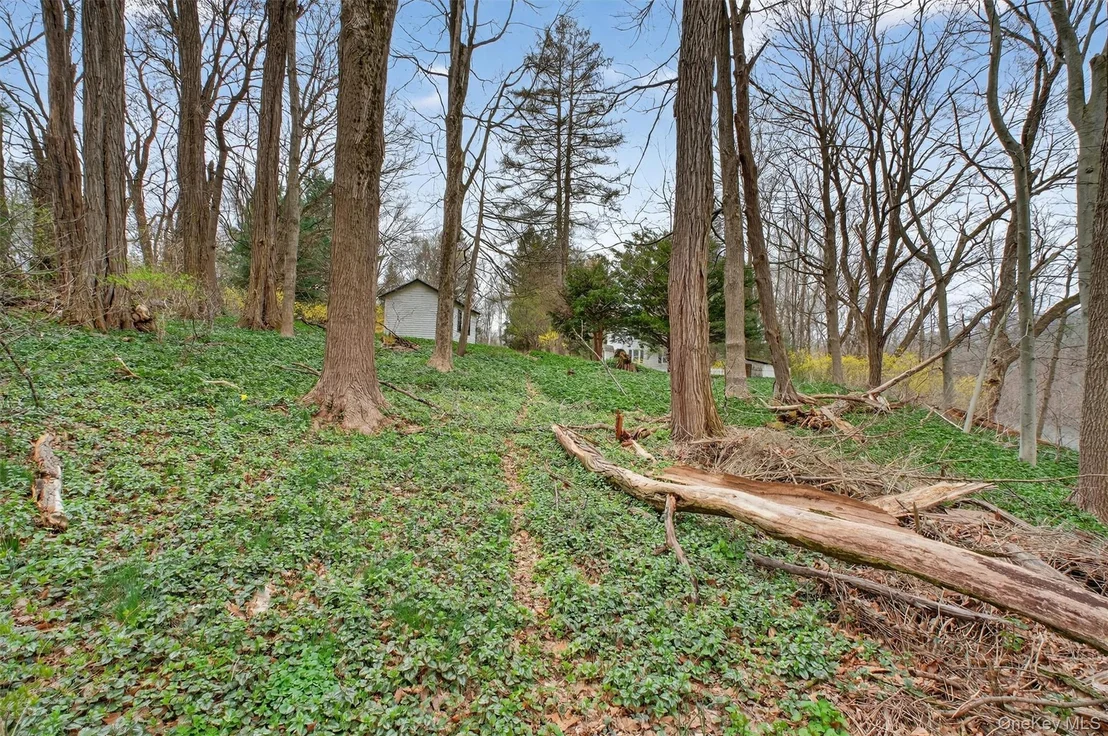 Photo of 16 Hamilton Road