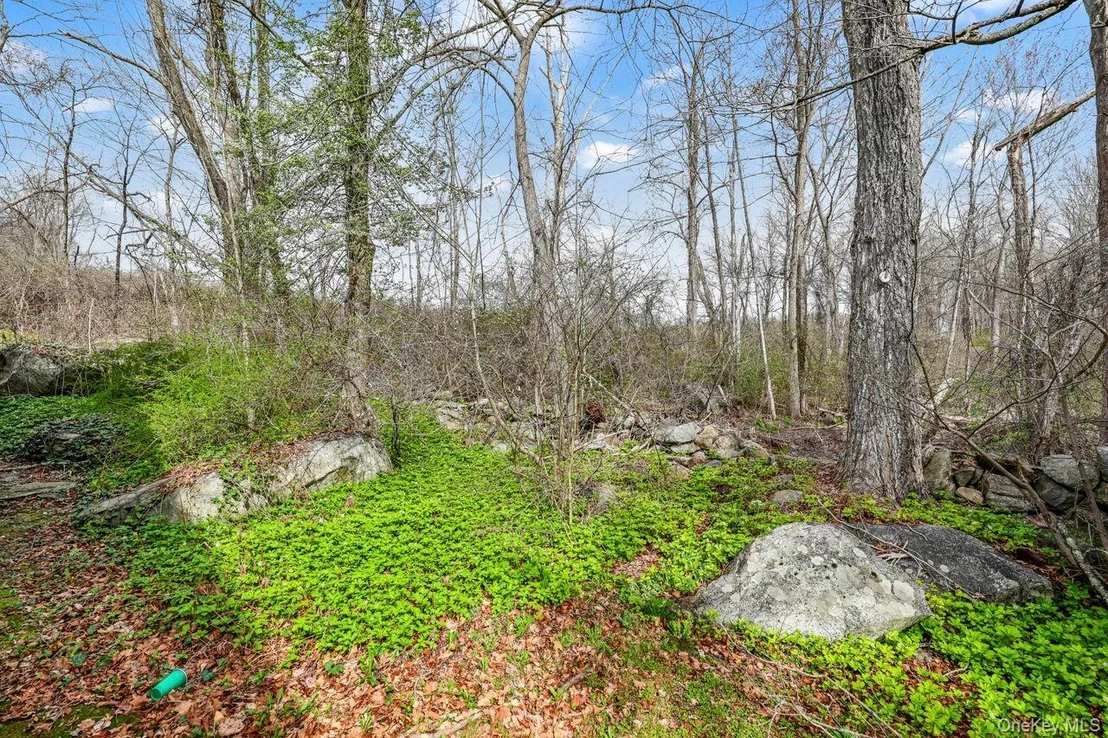 Photo of 339 North Road
