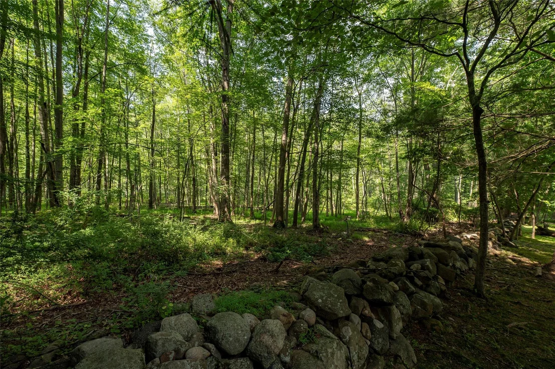Photo of 204 Radcliff Drive